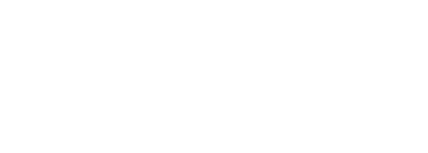 FlixIT